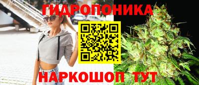 mdpv Заволжье