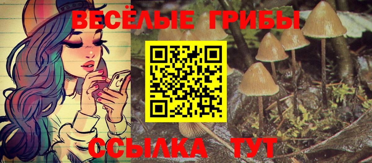 Галлюциногенные грибы прущие грибы  Вход с VPN  Галлюциногенные грибы мицелий  Ликино-Дулёво 